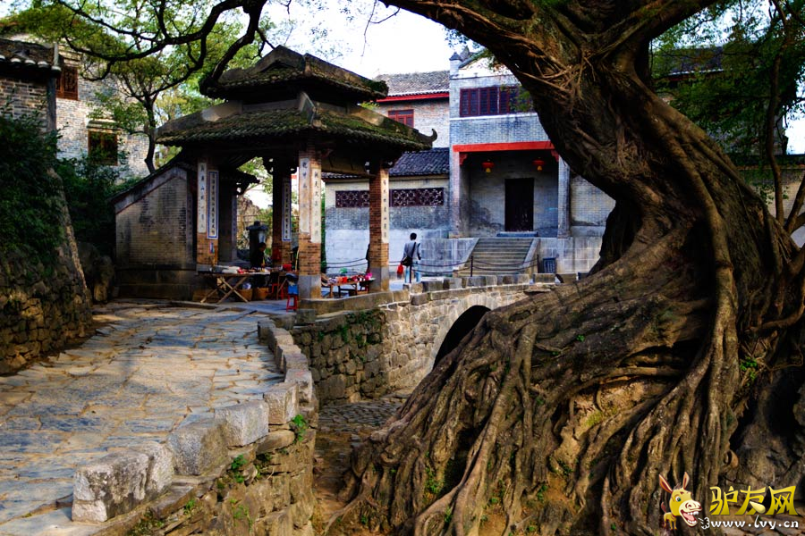 untitled19 - ����.png