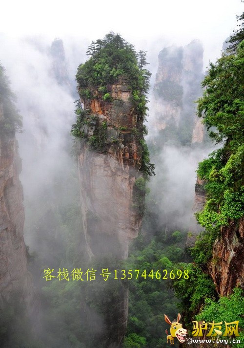 1_���� ΢�ź�.jpg